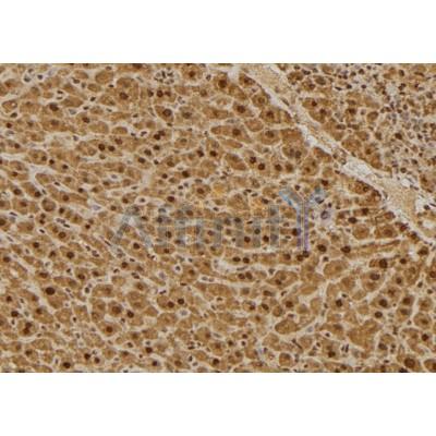 Валидация Affinity DF3962 - 15172