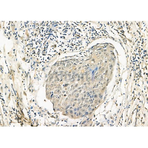 Валидация Affinity DF8069 - 19905