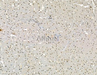 Валидация Affinity DF15986 - 12520