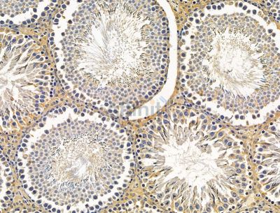 Валидация Affinity DF15132 - 11388