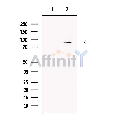 Валидация Affinity DF13616 - 9129