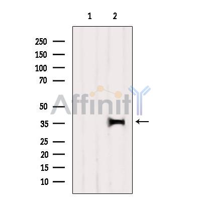 Валидация Affinity DF10287 - 5896