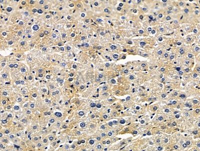 Валидация Affinity DF15595 - 12015