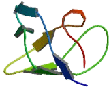 SH3 And Cysteine Rich Domain Protein (STAC) SH3 And Cysteine Rich Domain Protein (STAC)