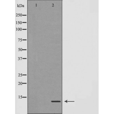 Валидация Affinity DF7316 - 19006