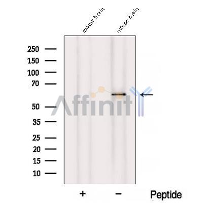 Валидация Affinity DF12803 - 7499