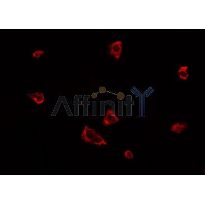 Валидация Affinity DF7576 - 19340