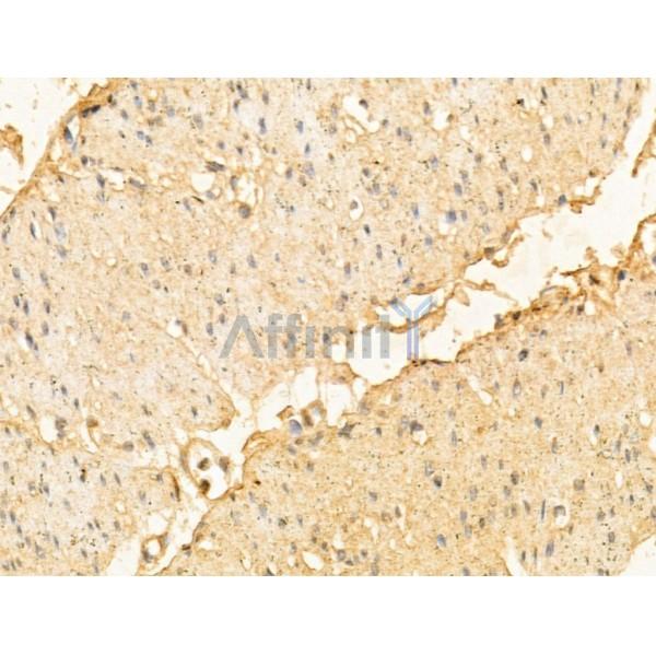 Валидация Affinity DF12196 - 6439