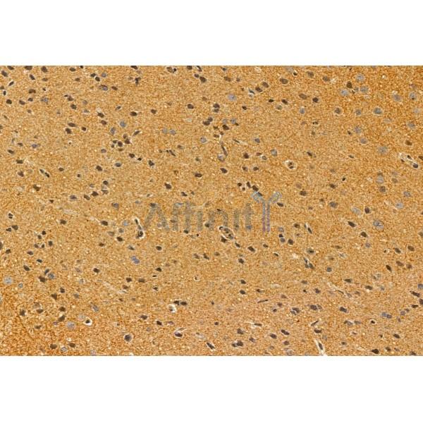 Валидация Affinity DF12054 - 6108