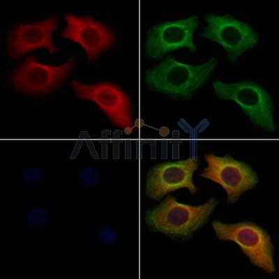 Валидация Affinity AF7723 - 4418