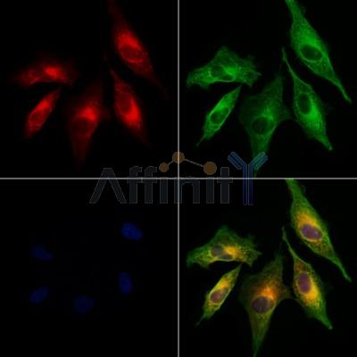 Валидация Affinity DF12377 - 6839