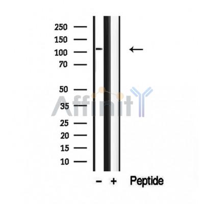 Валидация Affinity DF12380 - 6846