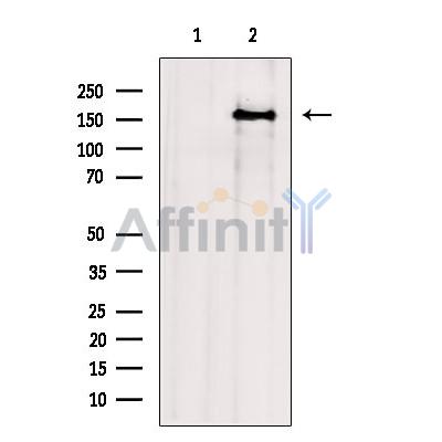 Валидация Affinity DF13727 - 9360