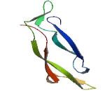 Interleukin 17B (IL17B) Interleukin 17B (IL17B)
