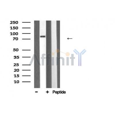 Валидация Affinity DF6171 - 17416