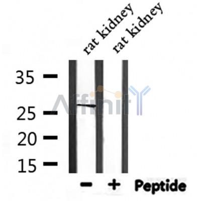 Валидация Affinity DF7444 - 19196