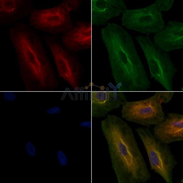 Валидация Affinity DF6613 - 18073