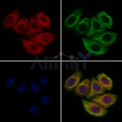 Валидация Affinity DF2914 - 13649