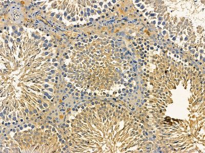 Валидация Affinity DF14447 - 10415