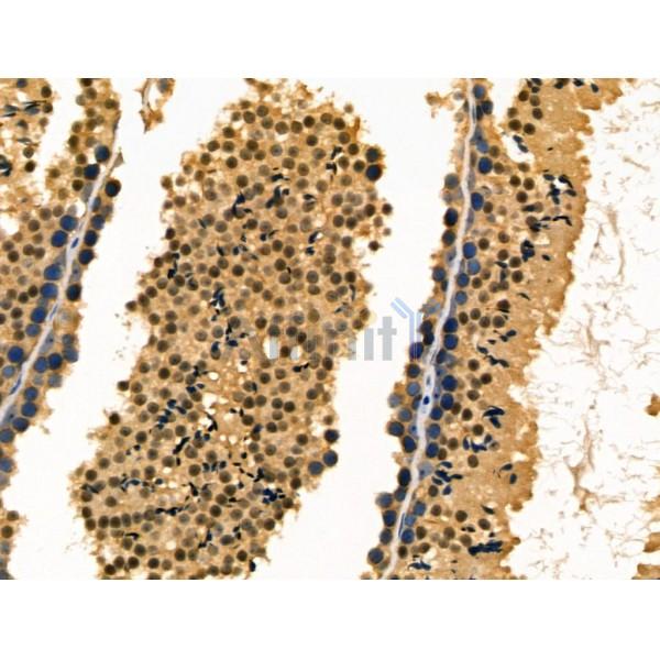 Валидация Affinity DF3096 - 13850