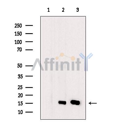 Валидация Affinity DF13522 - 8931