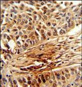 Валидация AssayVector ARM1789(2265)