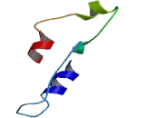 Neuropeptide Y Receptor Y2 (NPY2R) Neuropeptide Y Receptor Y2 (NPY2R)