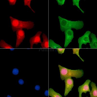 Валидация Affinity DF13766 - 9429