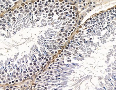 Валидация Affinity DF14017 - 9778