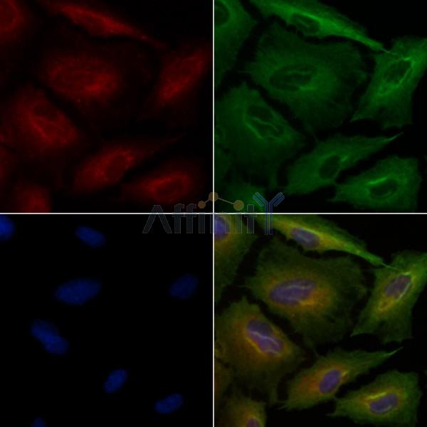 Валидация Affinity DF8646 - 20604