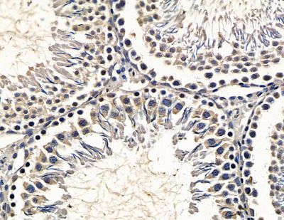 Валидация Affinity DF15447 - 11796