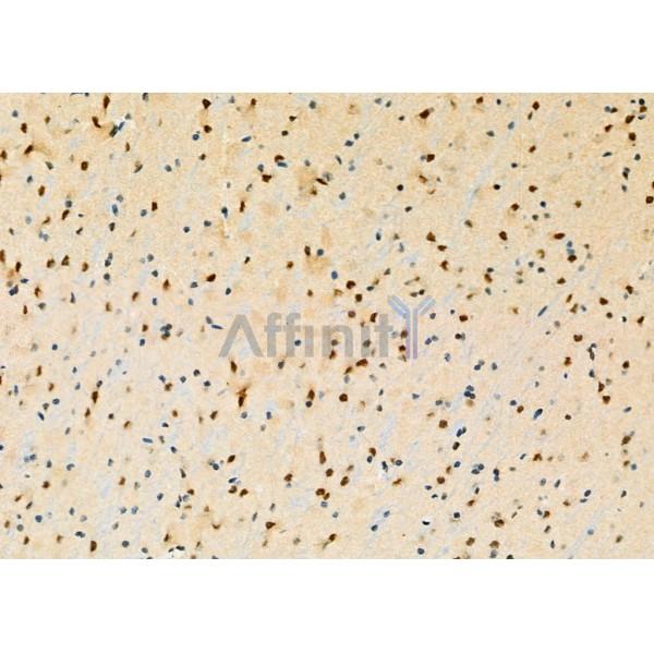 Валидация Affinity DF7664 - 19432