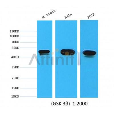 Валидация Affinity BF0721 - 5391