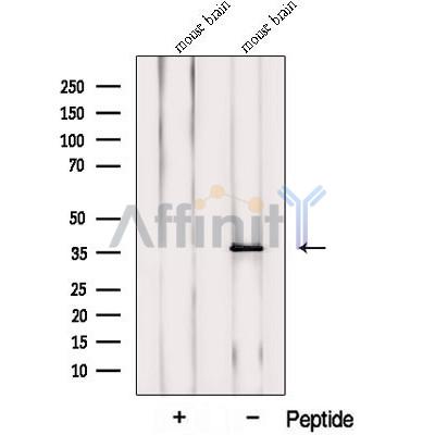 Валидация Affinity DF12708 - 7370