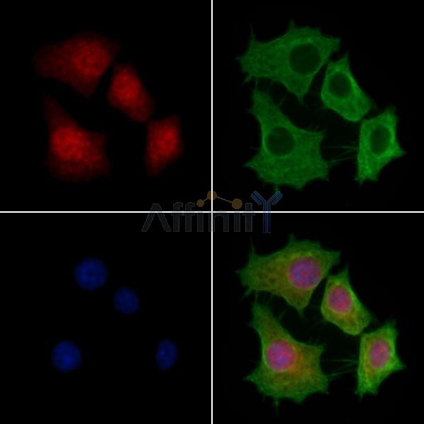 Валидация Affinity DF4297 - 15713