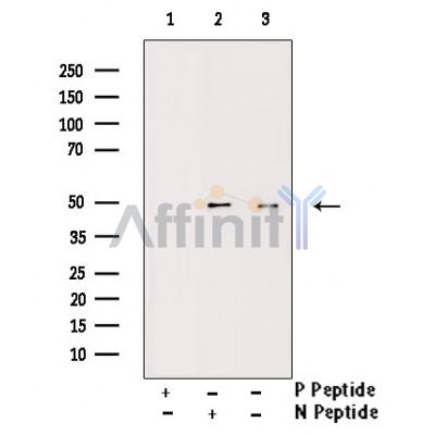 Валидация Affinity AF3495 - 2028