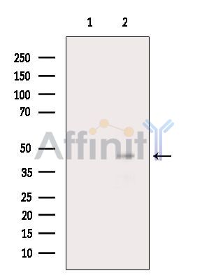 Валидация Affinity AF6556 - 3864