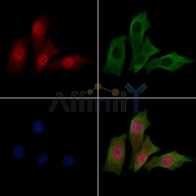 Валидация Affinity DF13056 - 7907