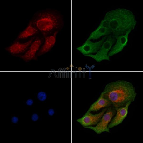 Валидация Affinity DF9062 - 21324