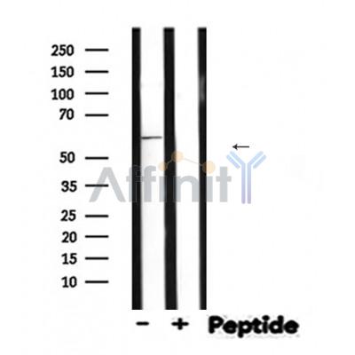 Валидация Affinity DF7191 - 18853