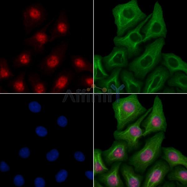 Валидация Affinity AF9059 - 4808