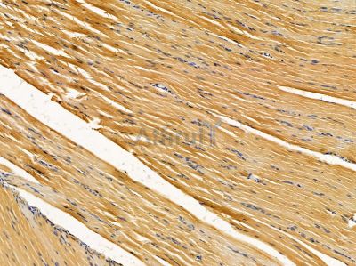 Валидация Affinity DF14484 - 10462