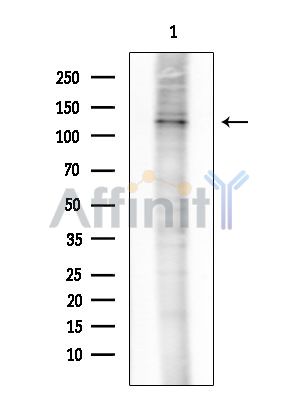Валидация Affinity AF6776 - 4019