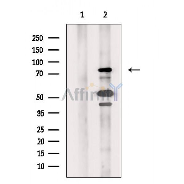 Валидация Affinity DF2677 - 13383