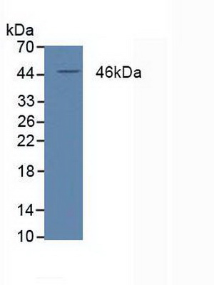 5026
