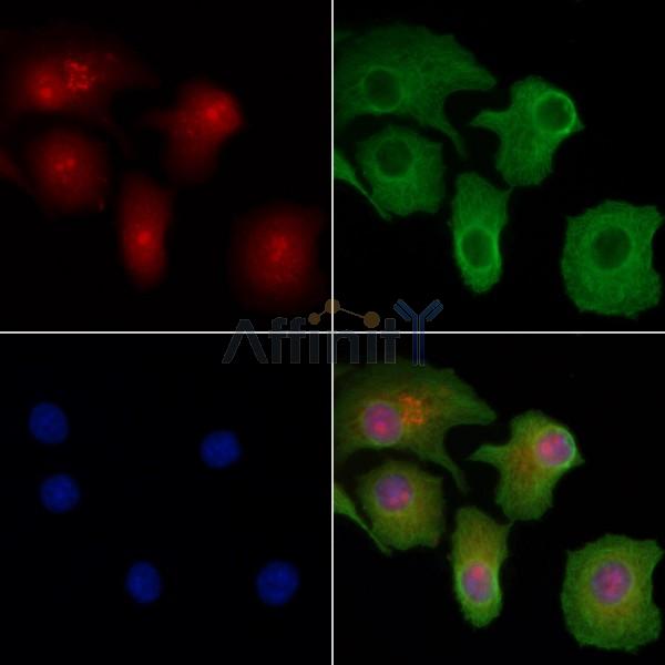 Валидация Affinity DF3453 - 14362