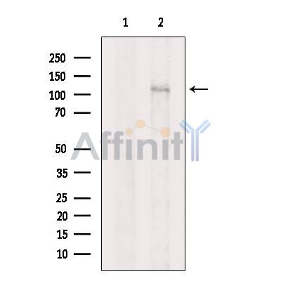 Валидация Affinity DF2335 - 12918