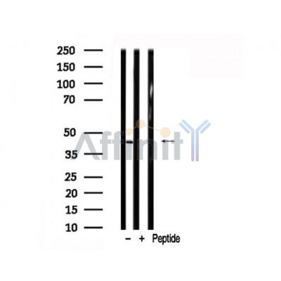 Валидация Affinity AF7881 - 4622