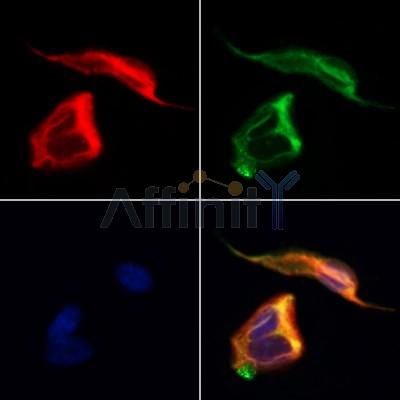 Валидация Affinity DF12917 - 7670