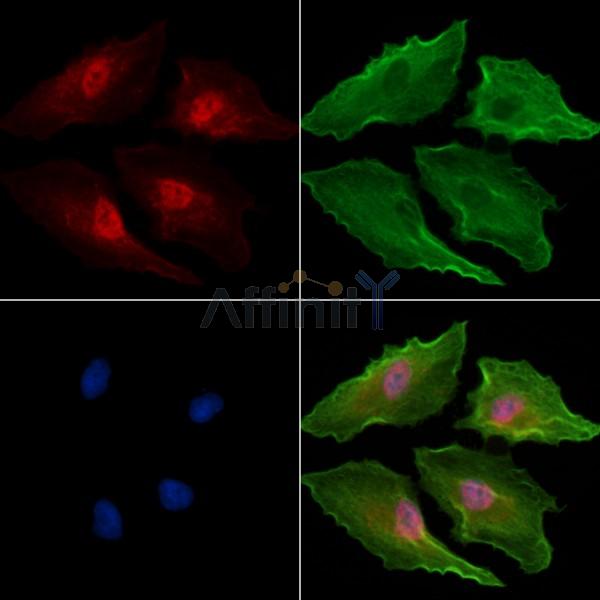 Валидация Affinity DF6976 - 18604